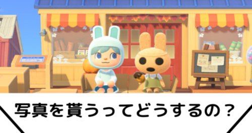 あつ森の写真の入手方法