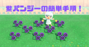 むらさきのパンジー