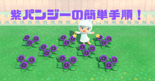 むらさきのパンジー