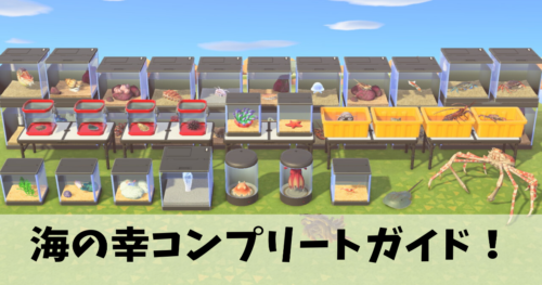 海の幸コンプリート